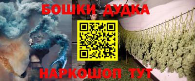 индика Гусь-Хрустальный