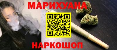 индика Гусь-Хрустальный