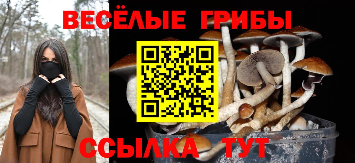 где продают наркотики  Вход с VPN  Галлюциногенные грибы мицелий  Смоленск  Галлюциногенные грибы ЛСД 